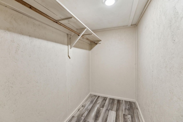spacious closet featuring wood finished floors