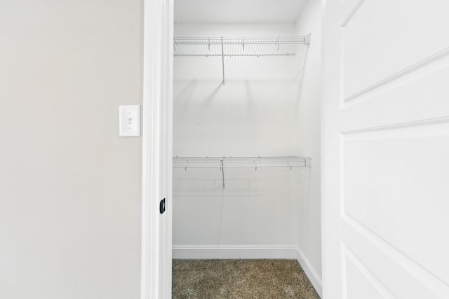151 Cardinal Crk, Clarksville, TN 37040 - walk in closet with carpet