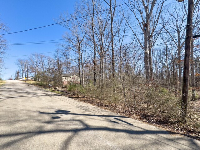 0 Morningside Dr, Huntingdon, TN 38344 - photo 3
