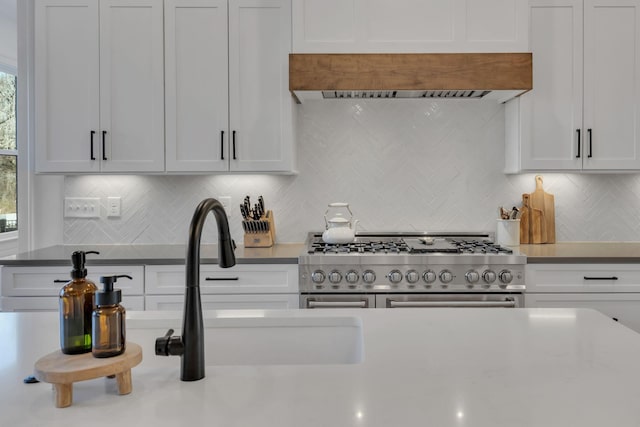 kitchen featuring double oven range, decorative backsplash, a sink, light countertops, and custom exhaust hood
