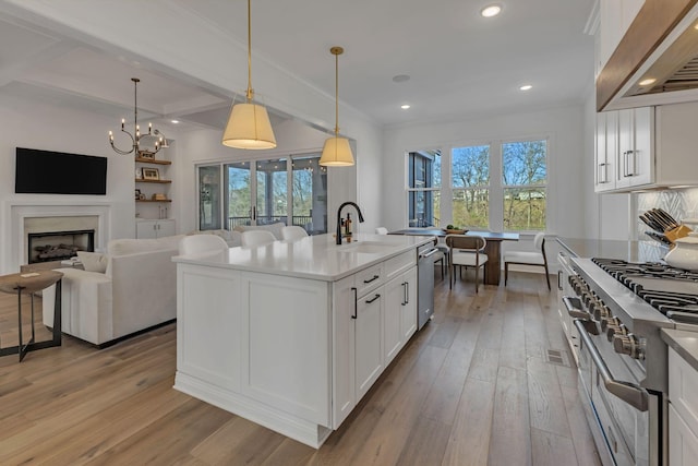 kitchen featuring light wood-type flooring, stainless steel appliances, extractor fan, and a sink