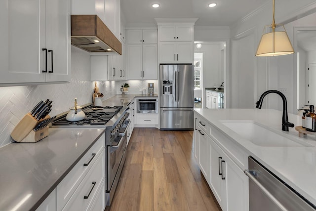 kitchen with decorative backsplash, a sink, appliances with stainless steel finishes, premium range hood, and wood finished floors
