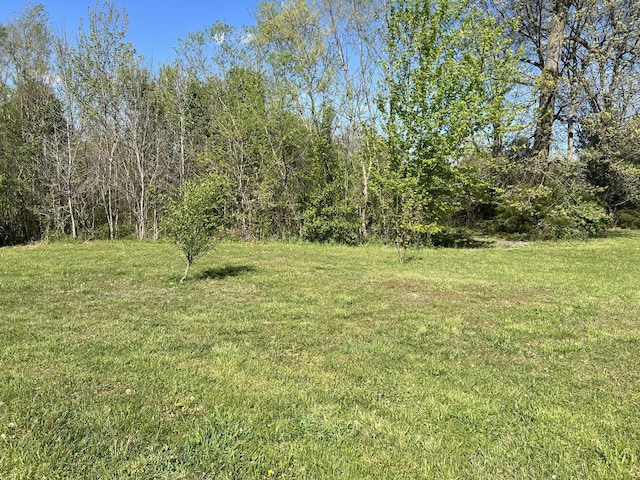 view of yard with a wooded view