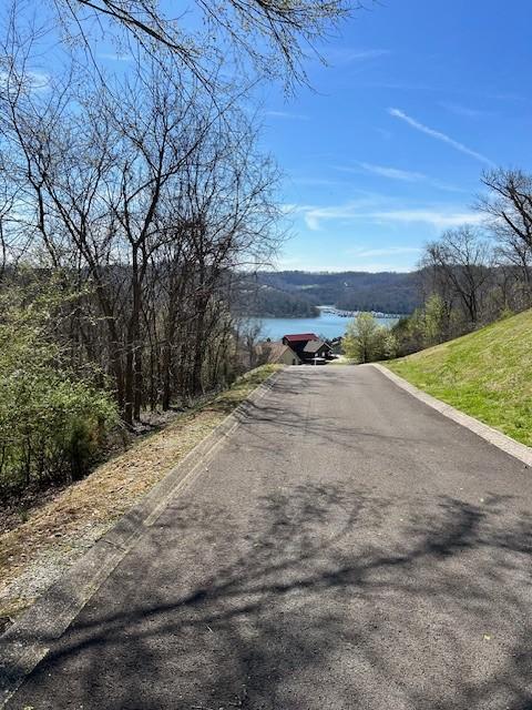 209 Sandgate Dr, Smithville, TN 37166 - photo 1