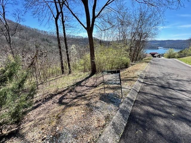 209 Sandgate Dr, Smithville, TN 37166 - photo 2