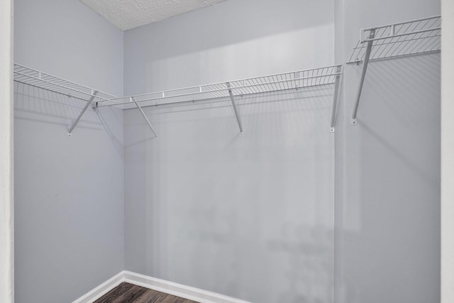 spacious closet featuring dark wood-type flooring