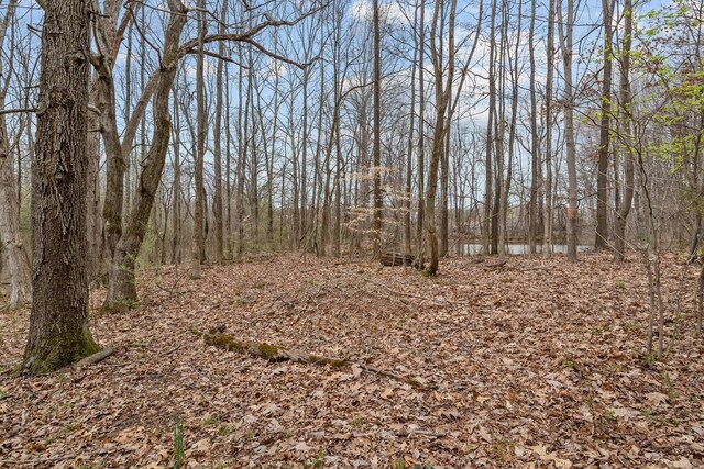 109 Robin Hood Rd, Dickson, TN 37055 - view of local wilderness with a wooded view