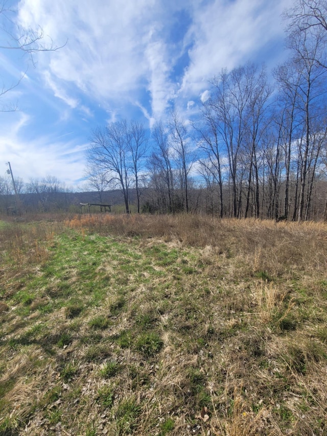 670 Munro Rd, Pulaski, TN 38478