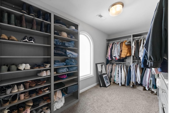 1044 Thrasher Dr, Clarksville, TN 37040 - walk in closet with visible vents and carpet