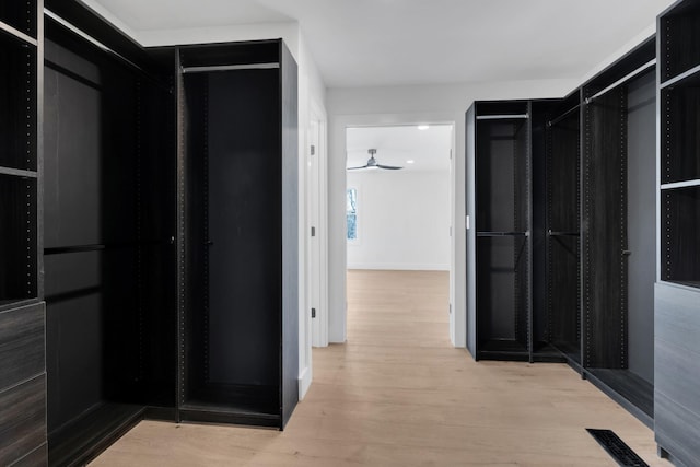 walk in closet with ceiling fan, visible vents, and wood finished floors