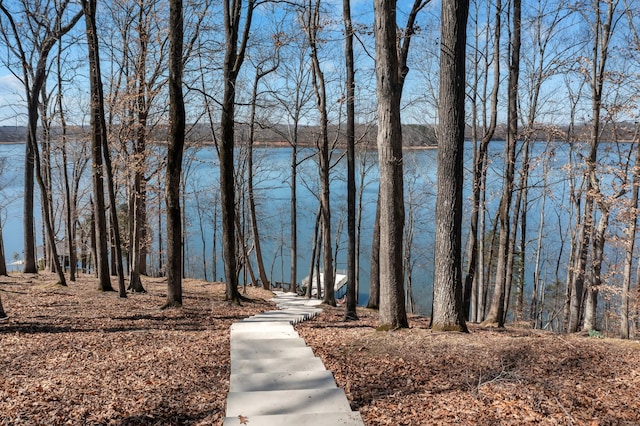 view of water feature