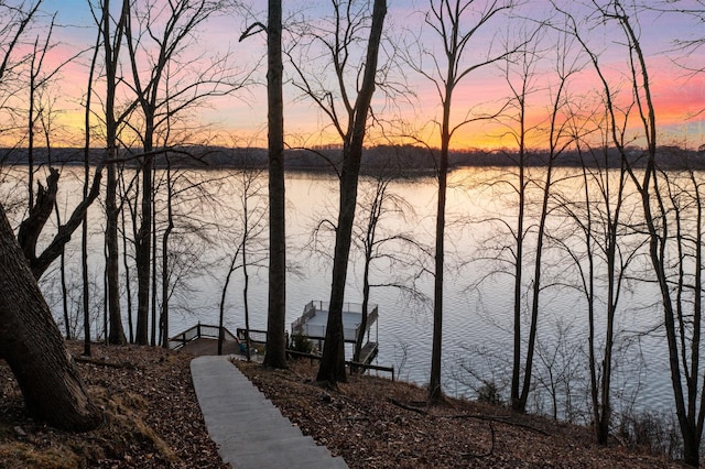 property view of water with a dock