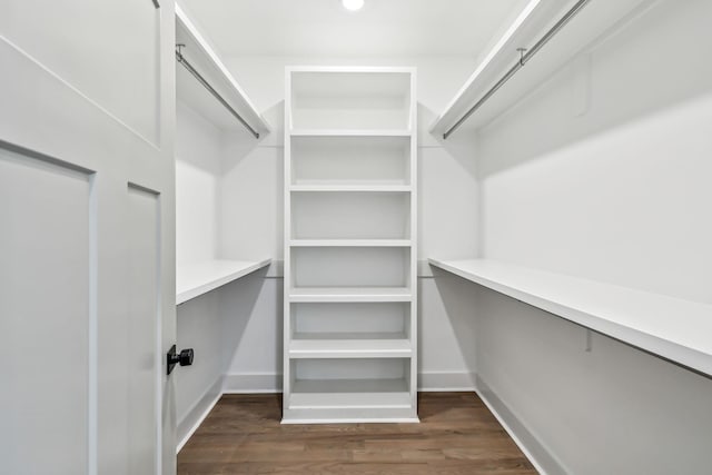 spacious closet featuring wood finished floors