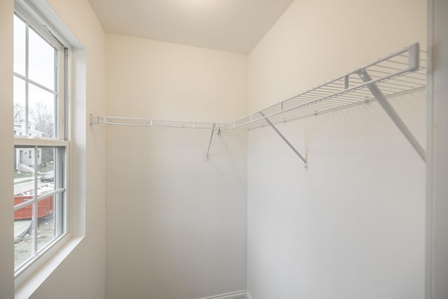158 Oasis Dr, La Vergne, TN 37086 - view of spacious closet