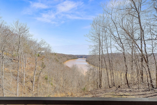292 Red Bud Dr, Smithville, TN 37166 - photo 47