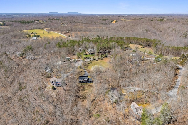 292 Red Bud Dr, Smithville, TN 37166 - photo 46