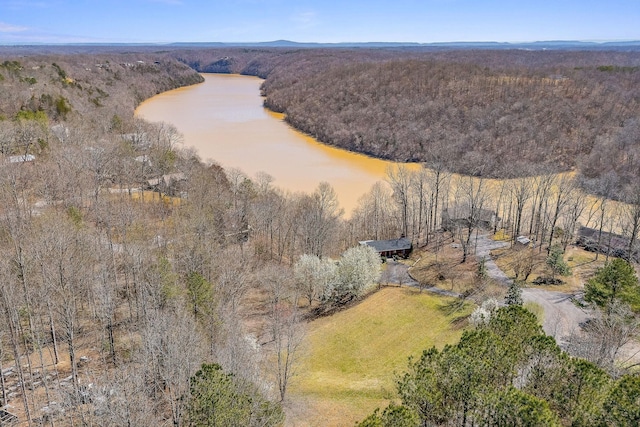 292 Red Bud Dr, Smithville, TN 37166 - photo 44