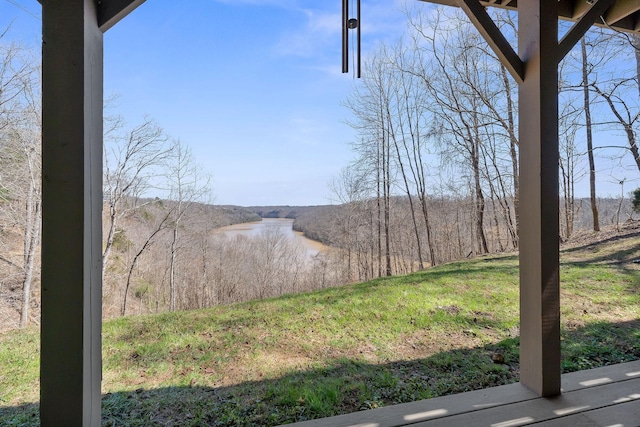 292 Red Bud Dr, Smithville, TN 37166 - photo 48
