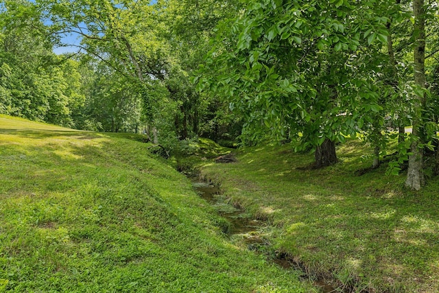750 Vernon Rd, Franklin, TN 37067 - photo 28