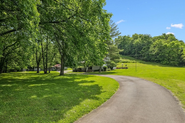 750 Vernon Rd, Franklin, TN 37067 - photo 50