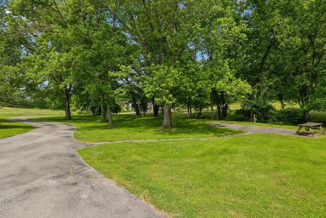 750 Vernon Rd, Franklin, TN 37067 - photo 35