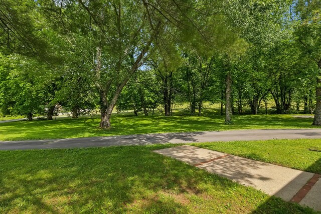 750 Vernon Rd, Franklin, TN 37067 - photo 39