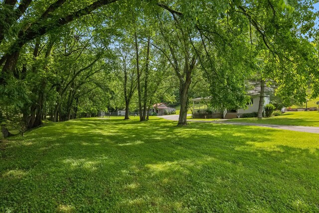750 Vernon Rd, Franklin, TN 37067 - photo 49