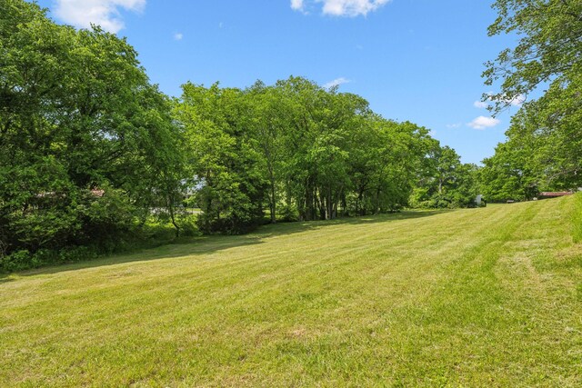 750 Vernon Rd, Franklin, TN 37067 - photo 52