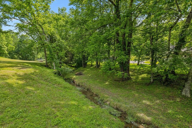 750 Vernon Rd, Franklin, TN 37067 - photo 55