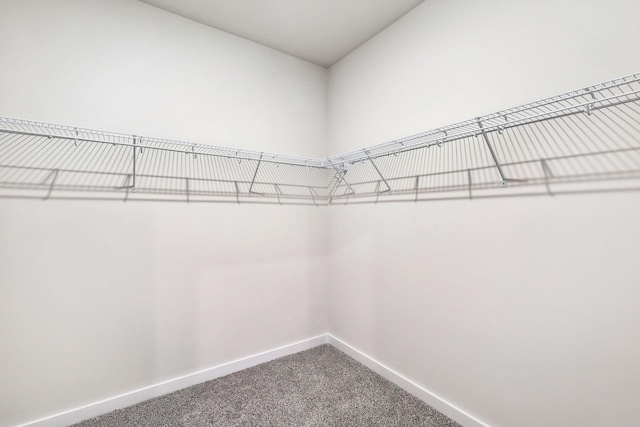 708 Brody Ct, Antioch, TN 37013 - walk in closet with carpet floors