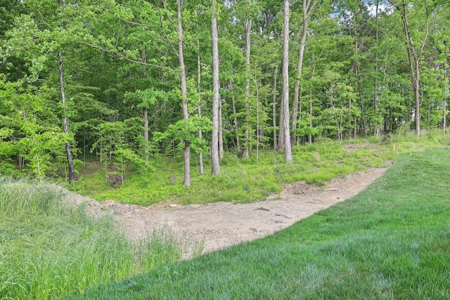 708 Brody Ct, Antioch, TN 37013 - view of wooded area