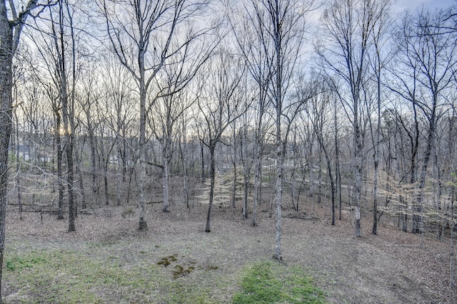 view of landscape