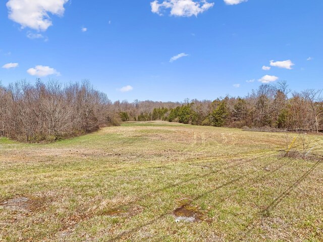 0 W Ellington Pkwy, Lewisburg, TN 37091 - photo 7