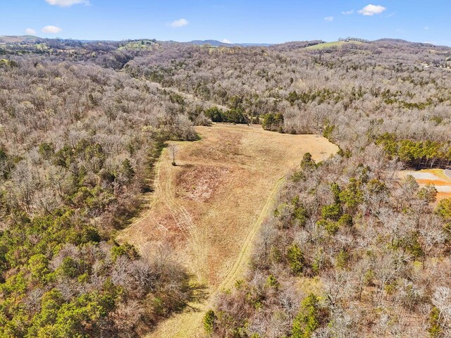 0 W Ellington Pkwy, Lewisburg, TN 37091 - photo 14