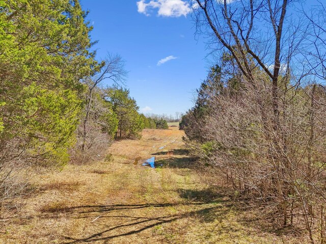 0 W Ellington Pkwy, Lewisburg, TN 37091 - photo 4
