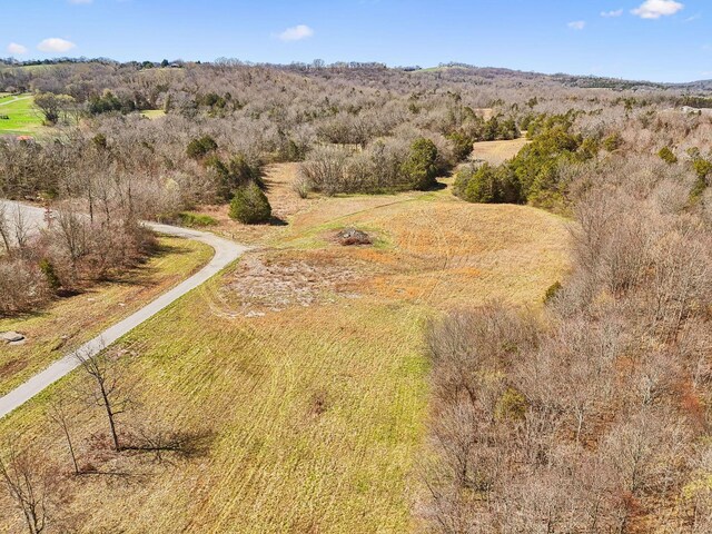 0 W Ellington Pkwy, Lewisburg, TN 37091 - photo 13