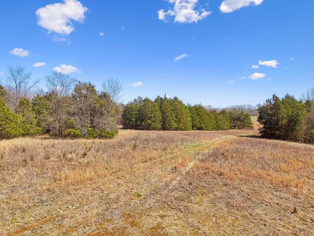 0 W Ellington Pkwy, Lewisburg, TN 37091 - photo 3