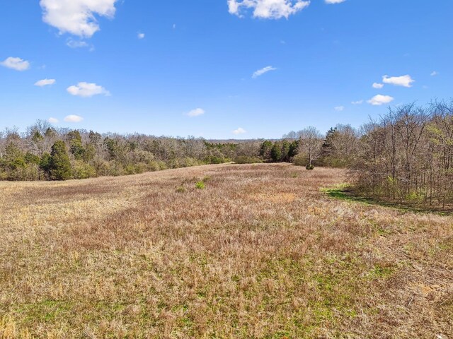 0 W Ellington Pkwy, Lewisburg, TN 37091 - photo 5