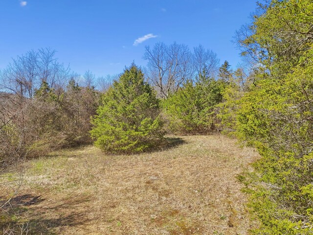 0 W Ellington Pkwy, Lewisburg, TN 37091 - photo 6