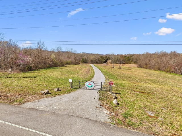 0 W Ellington Pkwy, Lewisburg, TN 37091 - photo 2