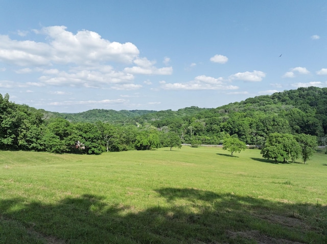 1381 Old Hillsboro Rd, Franklin, TN 37069