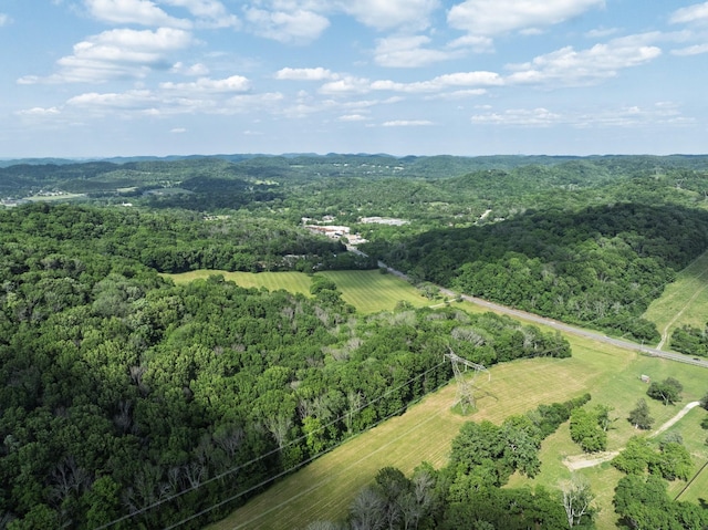 1381 Old Hillsboro Rd, Franklin, TN 37069