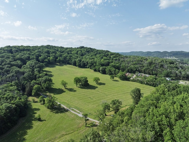 1381 Old Hillsboro Rd, Franklin, TN 37069