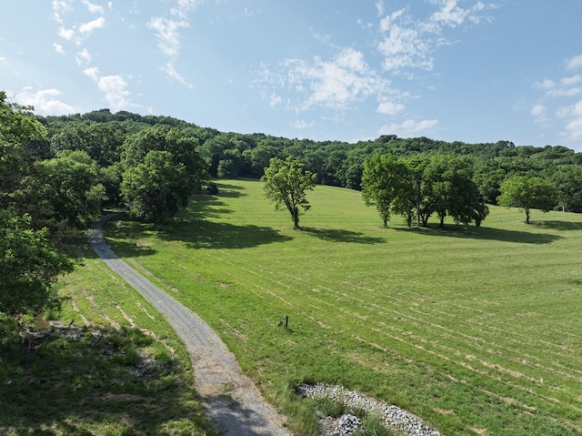 1381 Old Hillsboro Rd, Franklin, TN 37069
