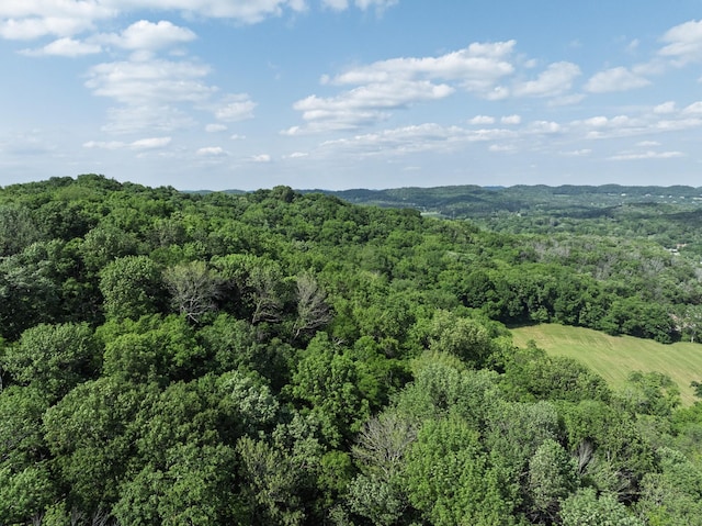 1381 Old Hillsboro Rd, Franklin, TN 37069
