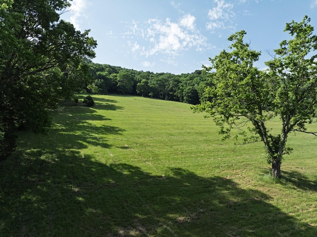 1381 Old Hillsboro Rd, Franklin, TN 37069