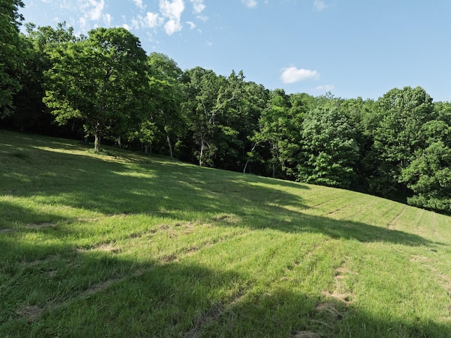 1381 Old Hillsboro Rd, Franklin, TN 37069