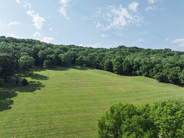 1381 Old Hillsboro Rd, Franklin, TN 37069