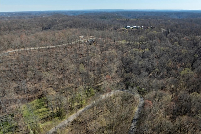 0 Shoreside Dr, Smithville, TN 37166 - photo 5