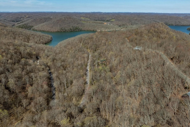 0 Shoreside Dr, Smithville, TN 37166 - photo 3